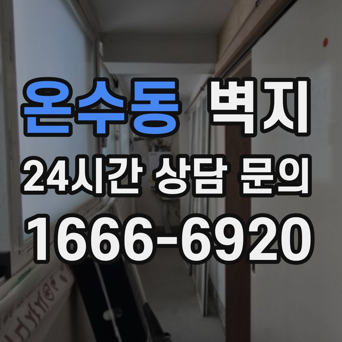 온수동 벽지
