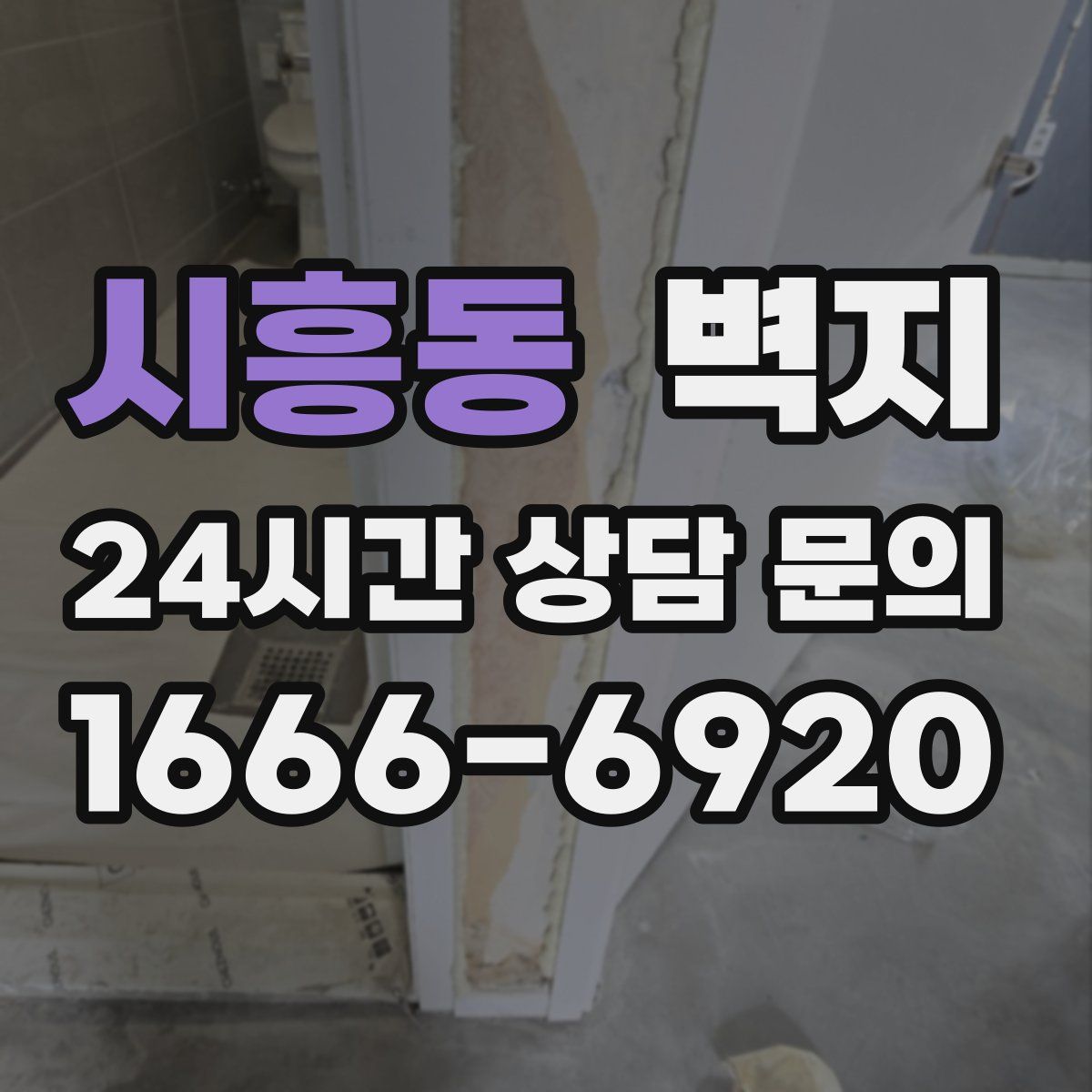 시흥동 벽지