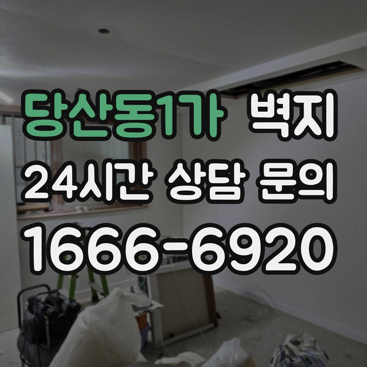 당산동1가 벽지