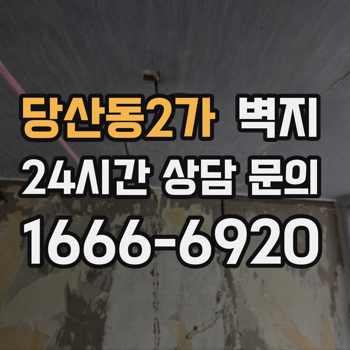 당산동2가 벽지