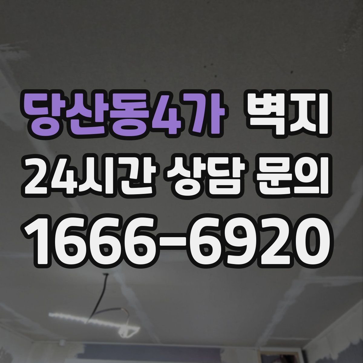 당산동4가 벽지