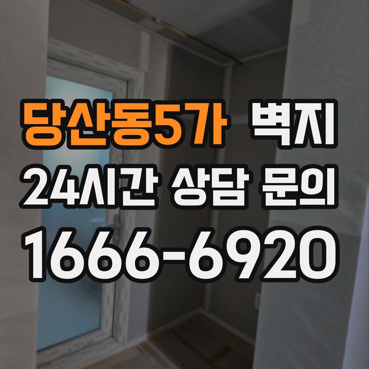 당산동5가 벽지