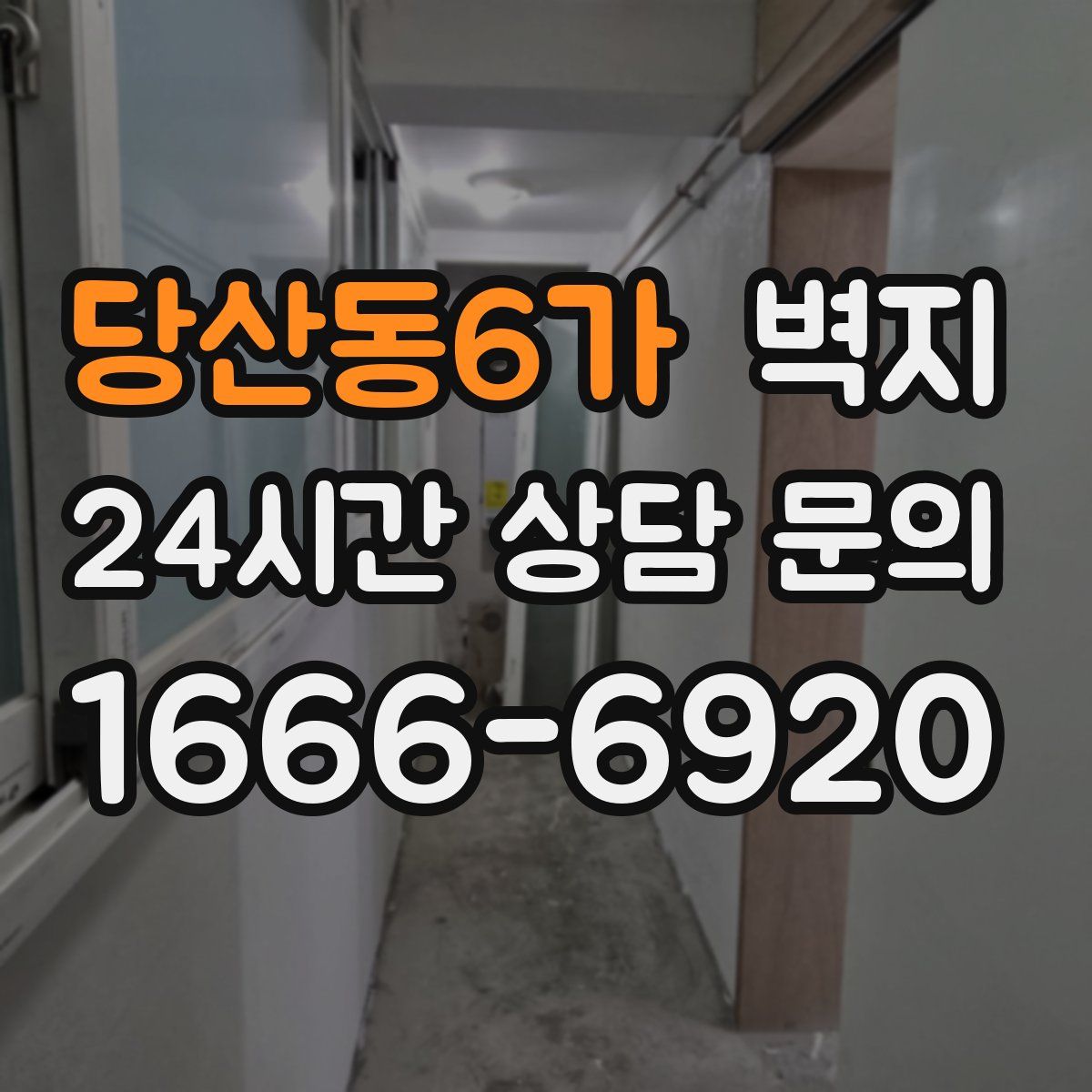 당산동6가 벽지