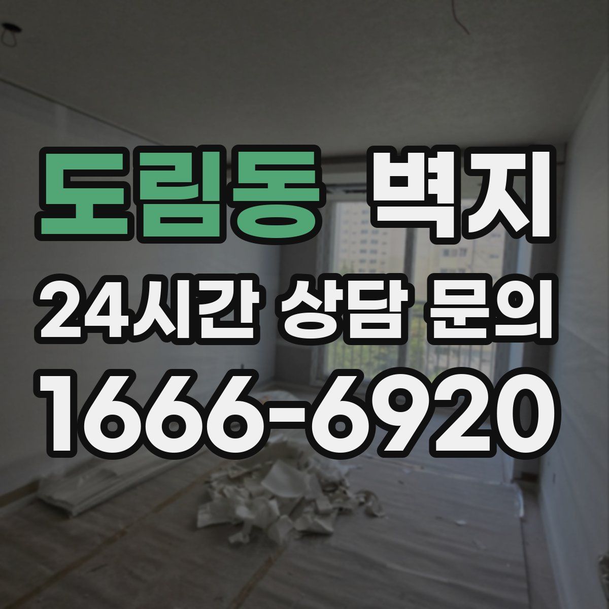 도림동 벽지