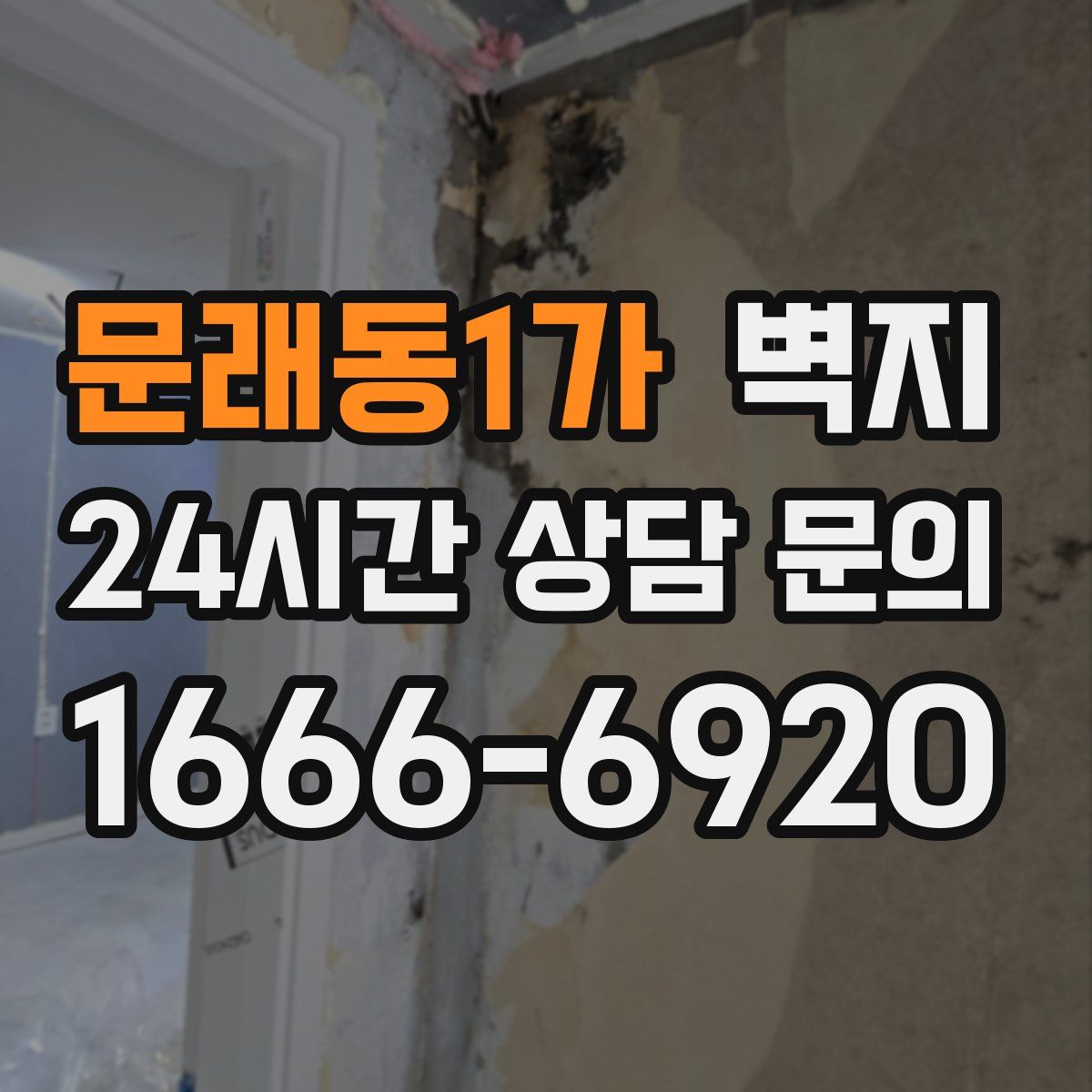 문래동1가 벽지