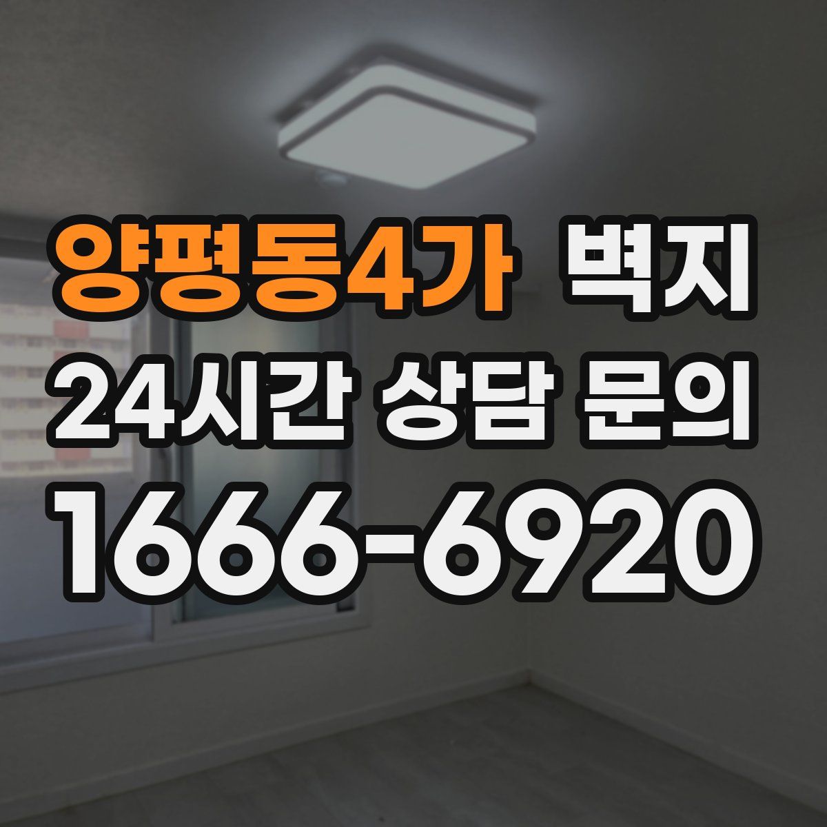 양평동4가 벽지