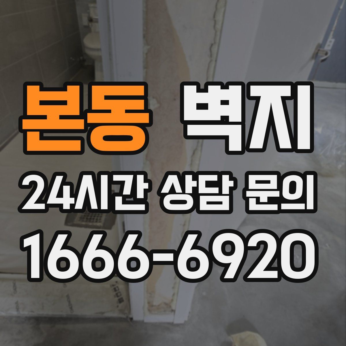 본동 벽지