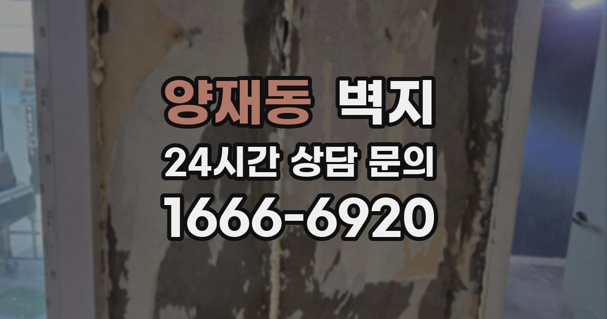 양재동 벽지