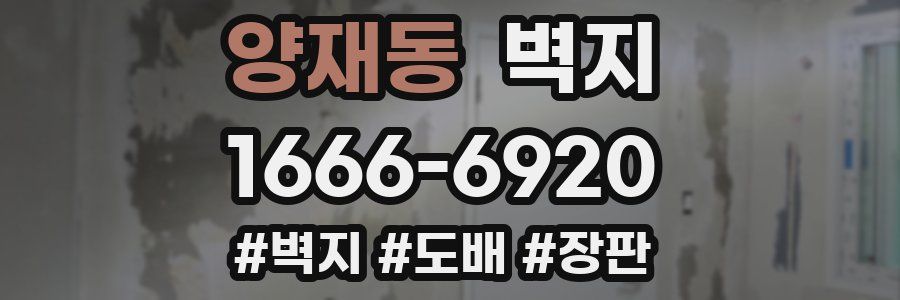 양재동 벽지