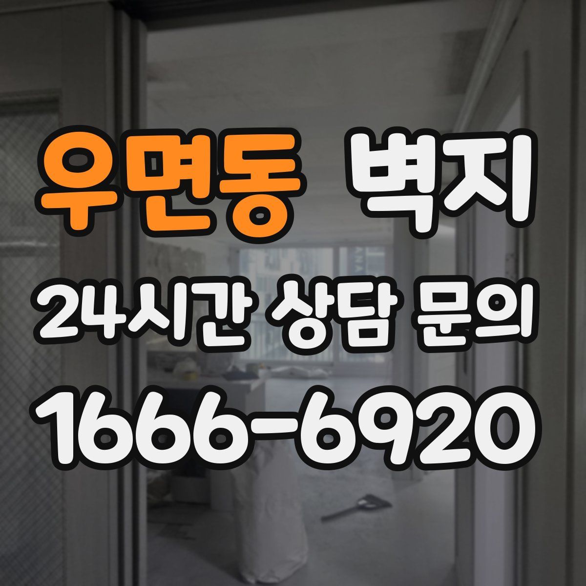 우면동 벽지