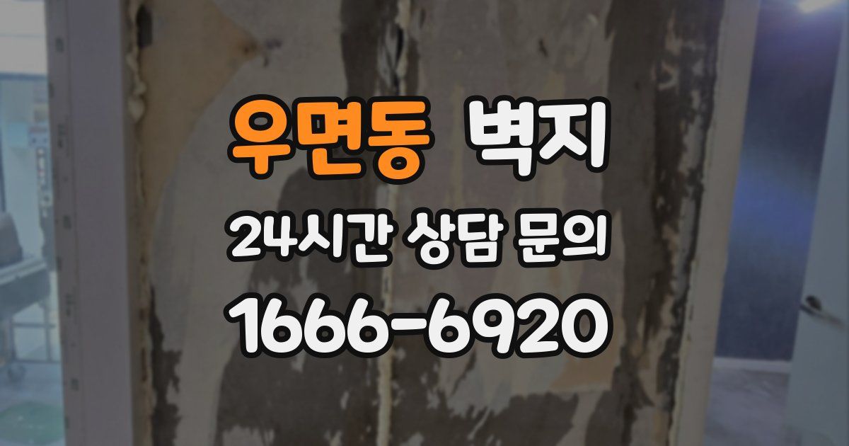 우면동 벽지