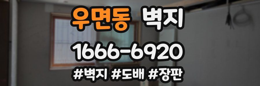우면동 벽지