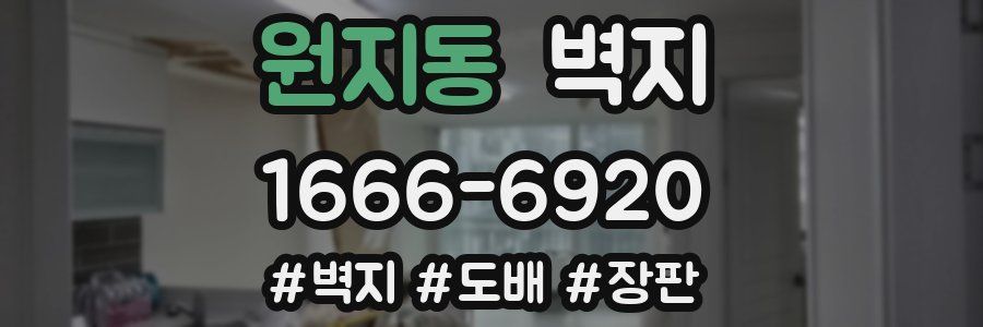 원지동 벽지