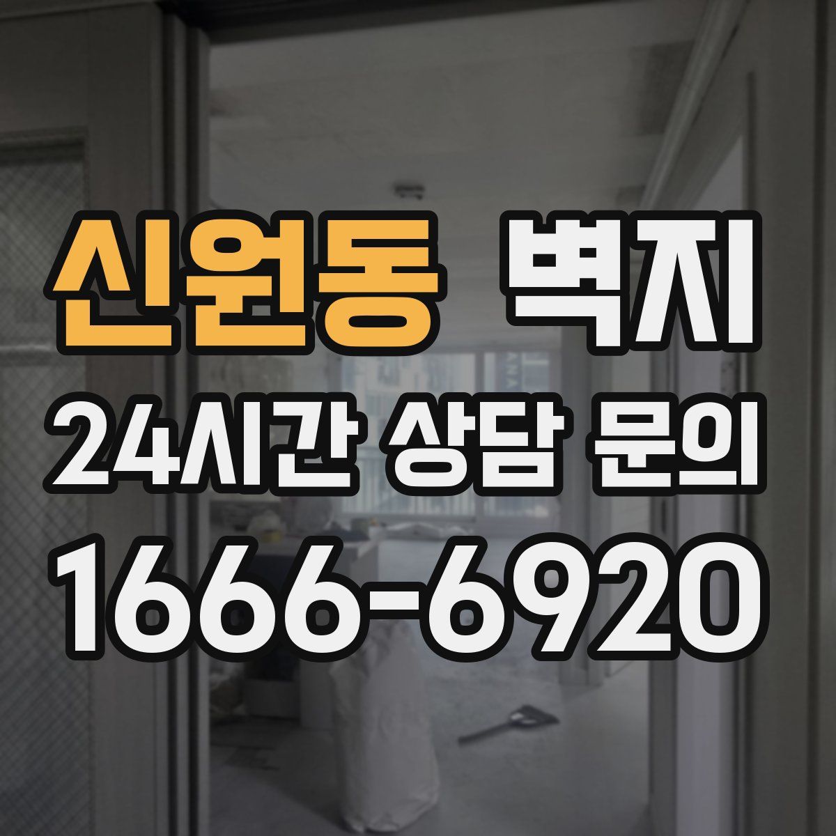 신원동 벽지