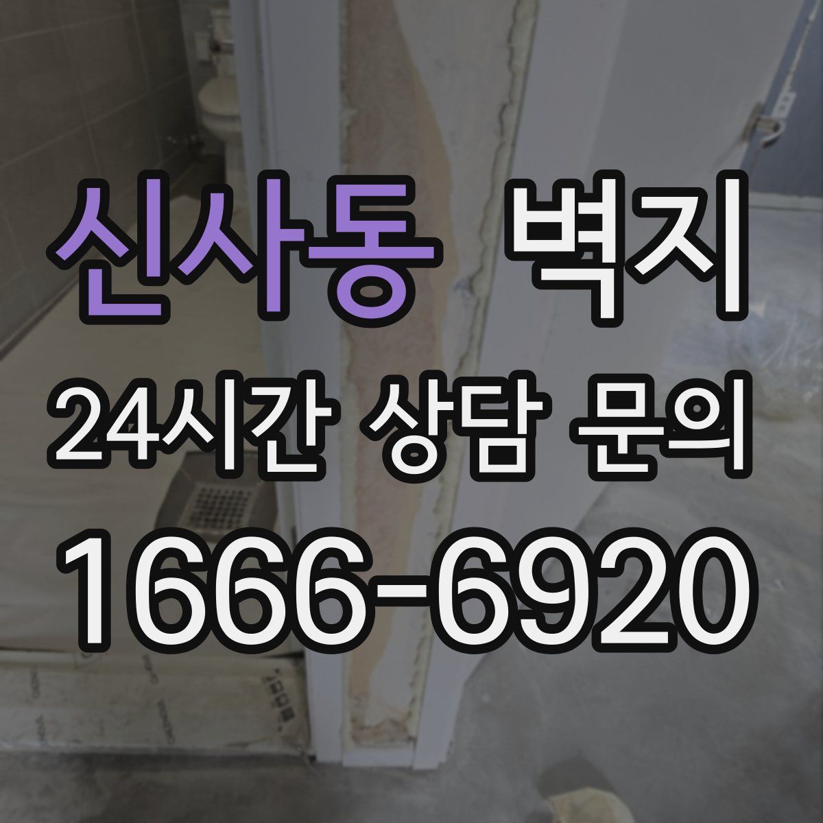신사동 벽지