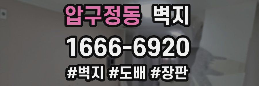 압구정동 벽지