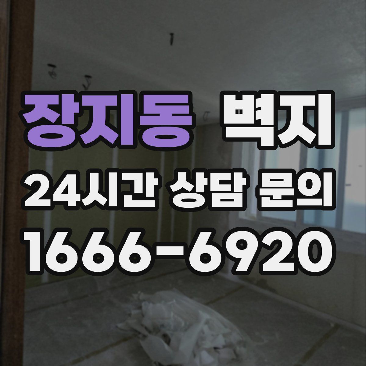 장지동 벽지