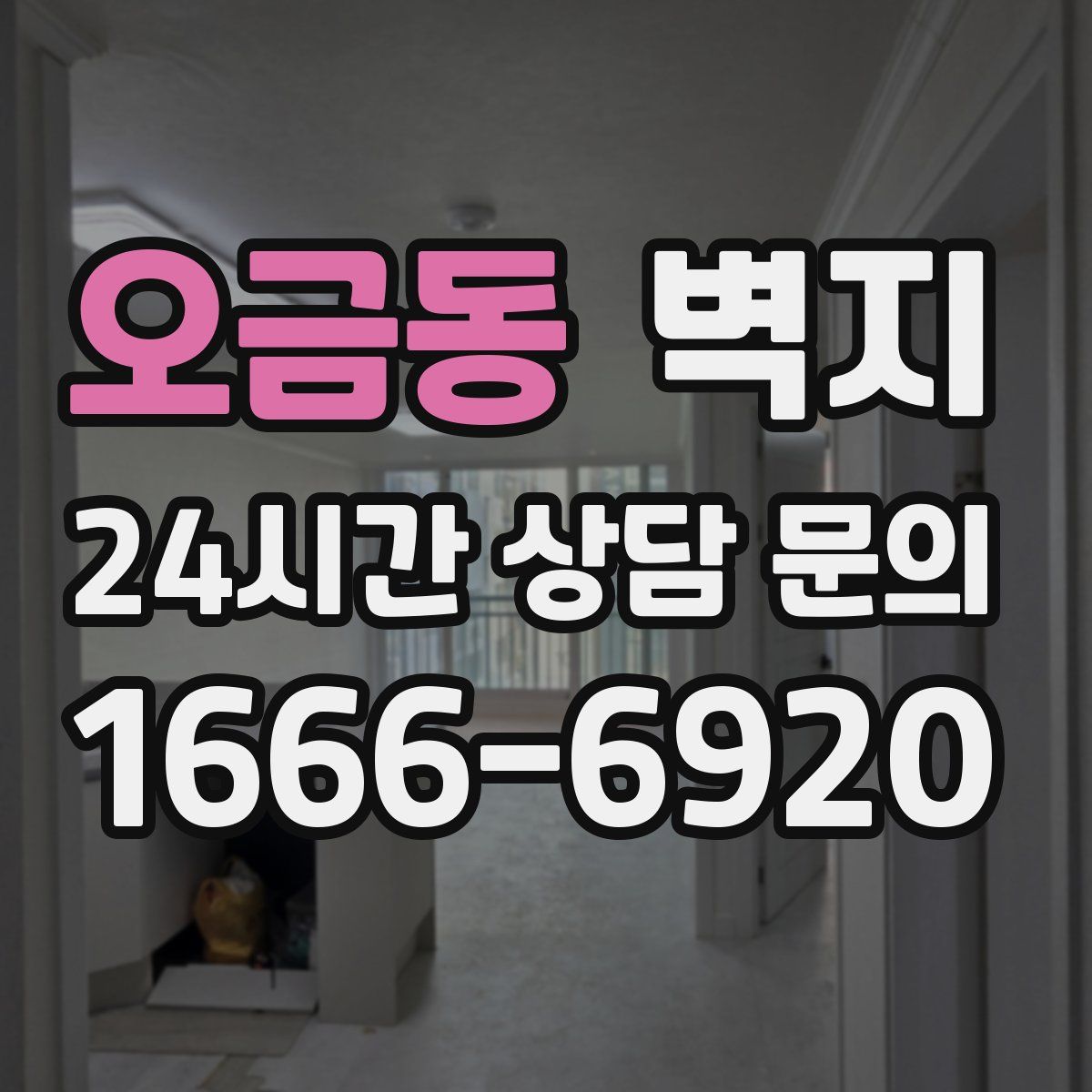 오금동 벽지