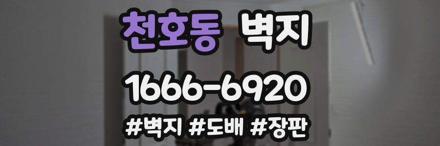 천호동 벽지