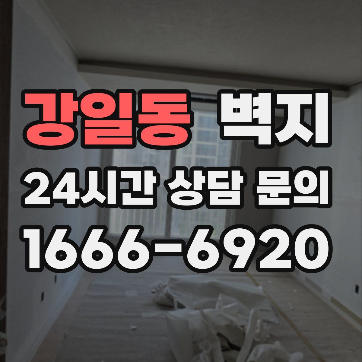 강일동 벽지