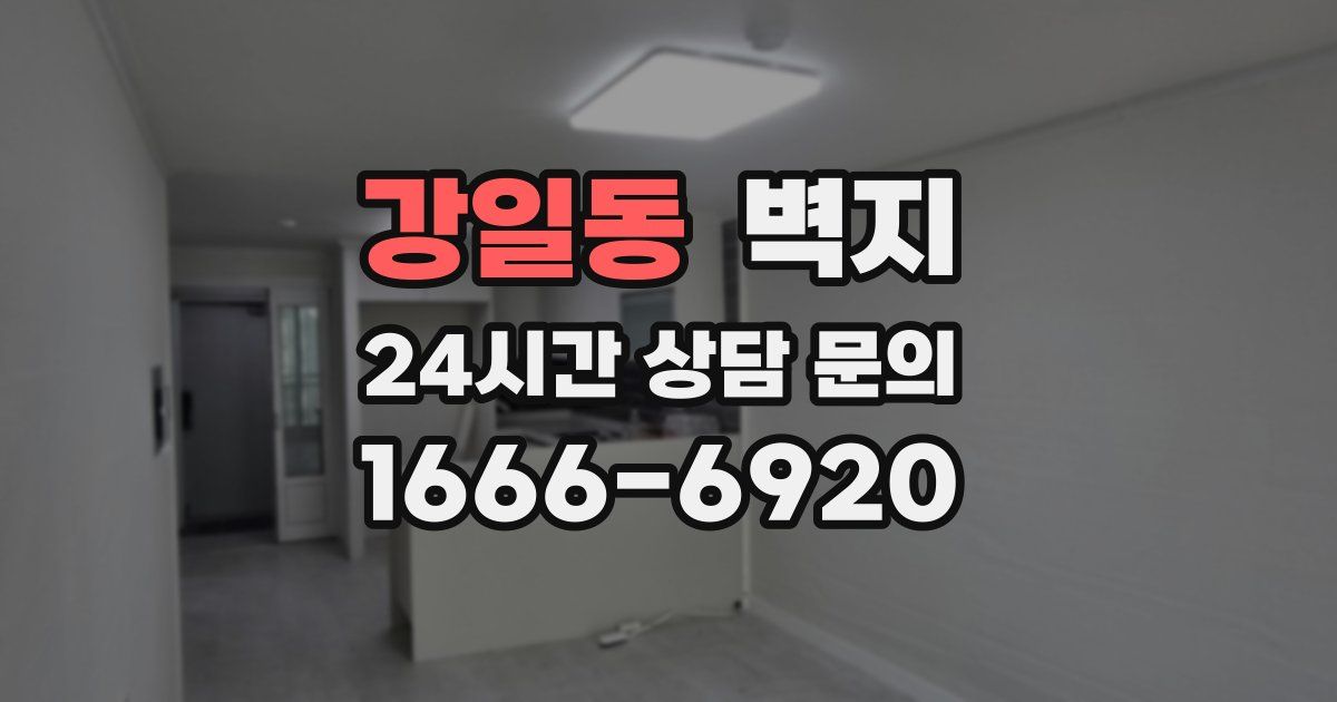 강일동 벽지