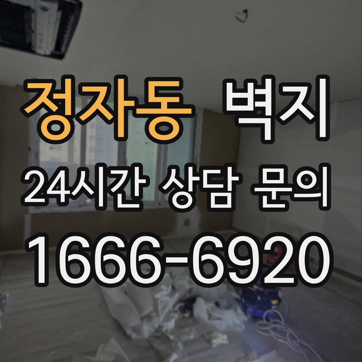 정자동 벽지