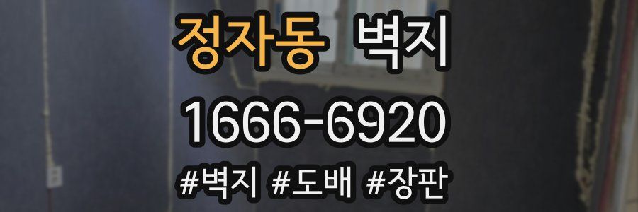 정자동 벽지