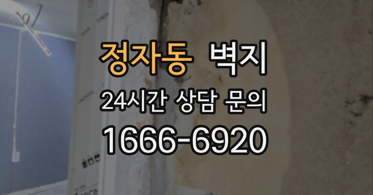 정자동 벽지