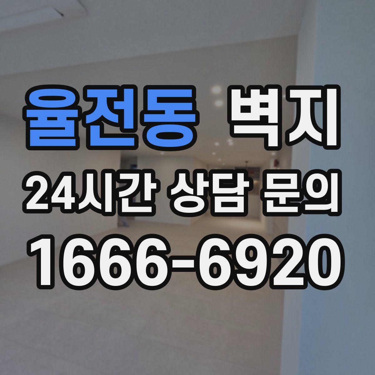 율전동 벽지