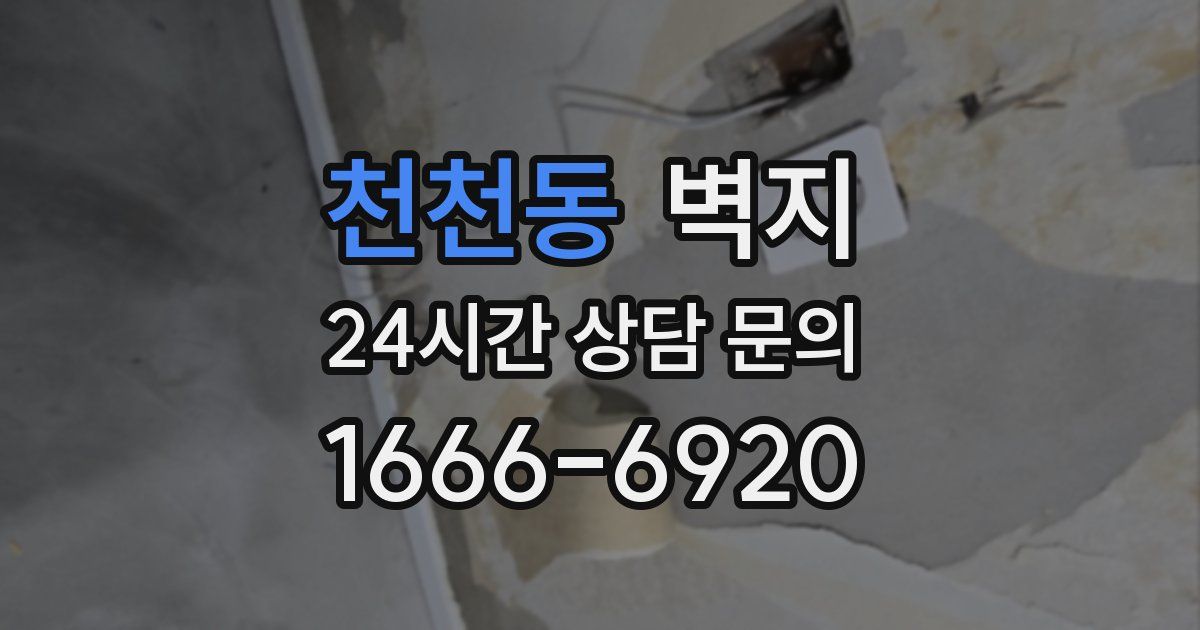 천천동 벽지