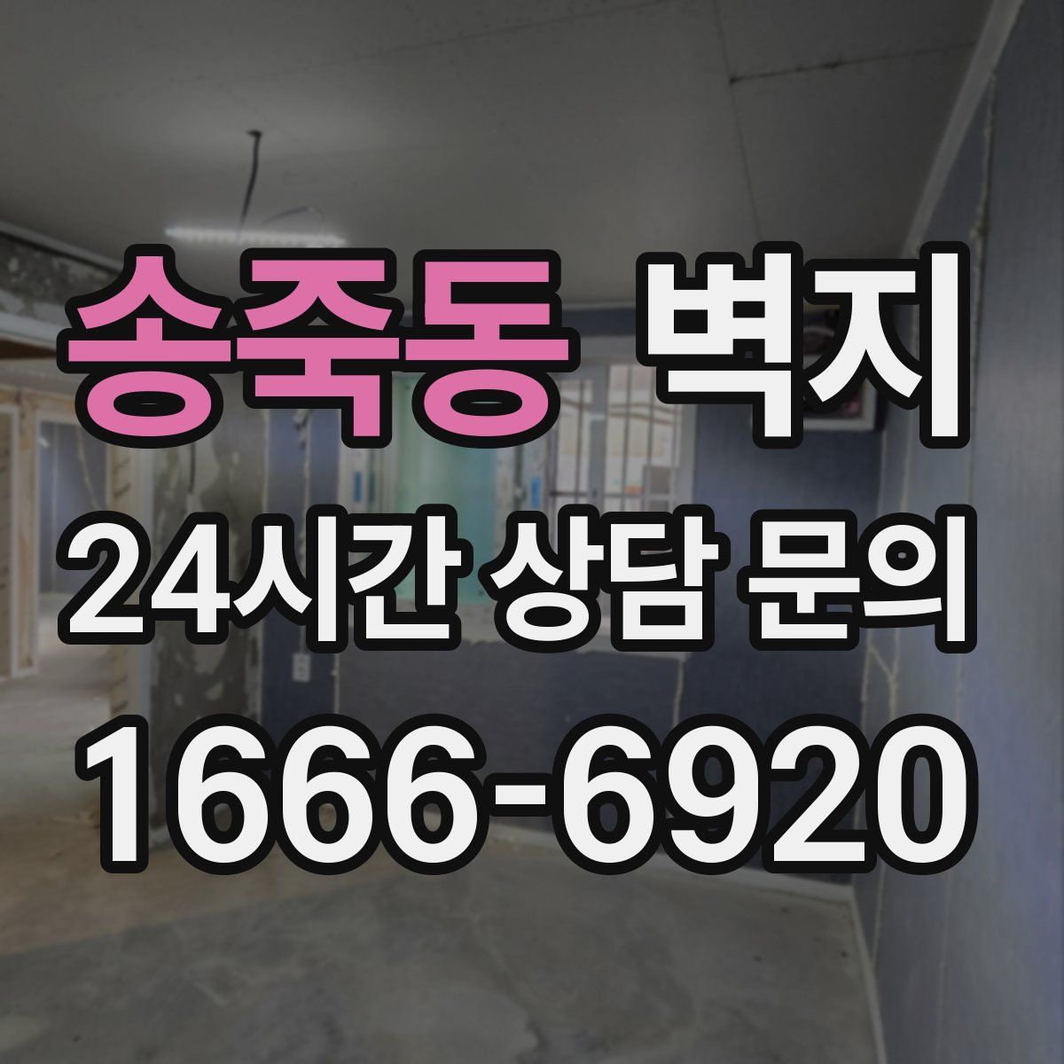 송죽동 벽지