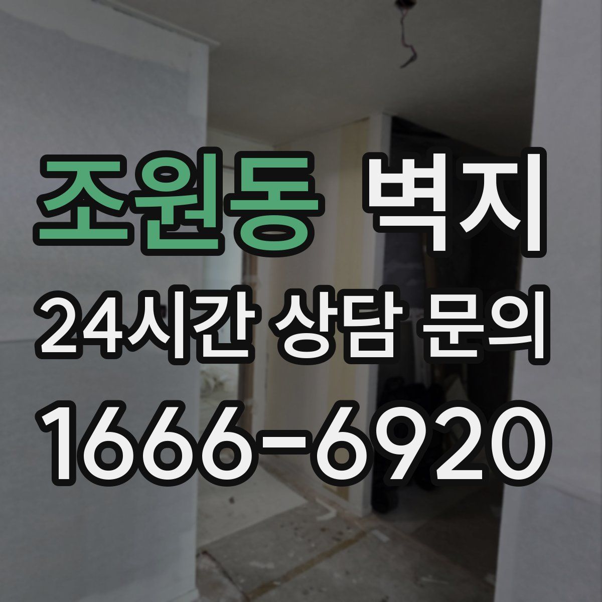 조원동 벽지
