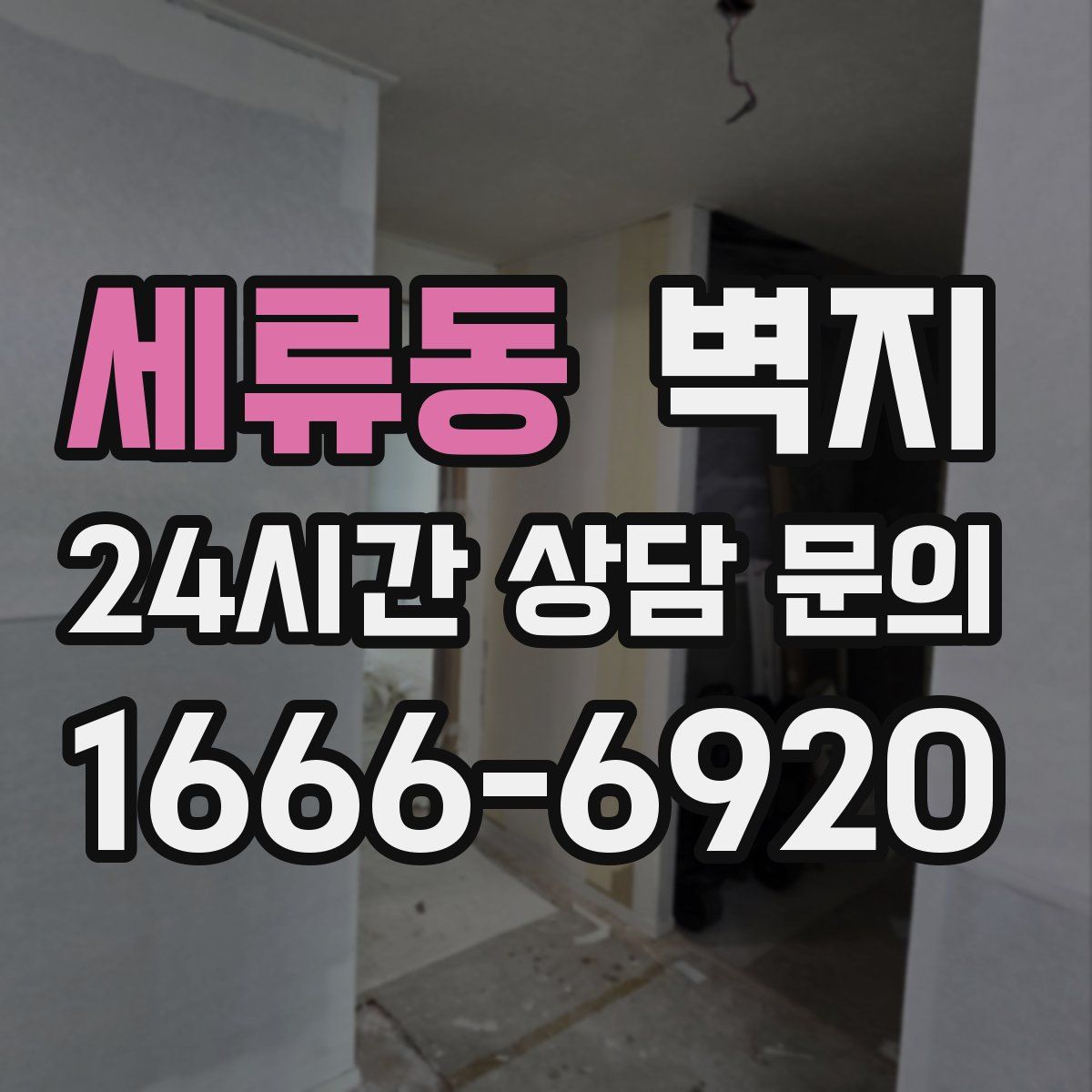 세류동 벽지