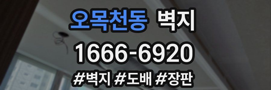 오목천동 벽지