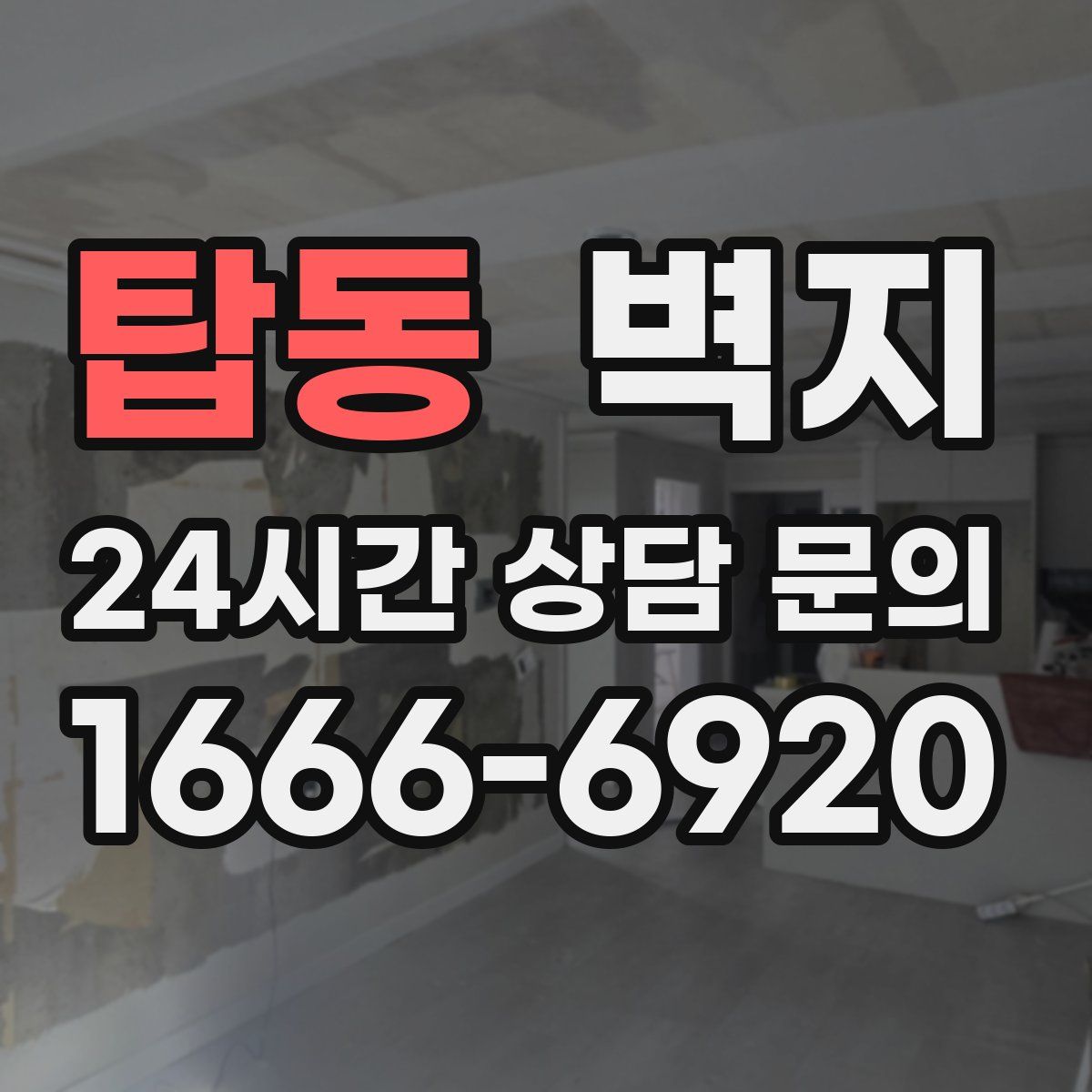 탑동 벽지