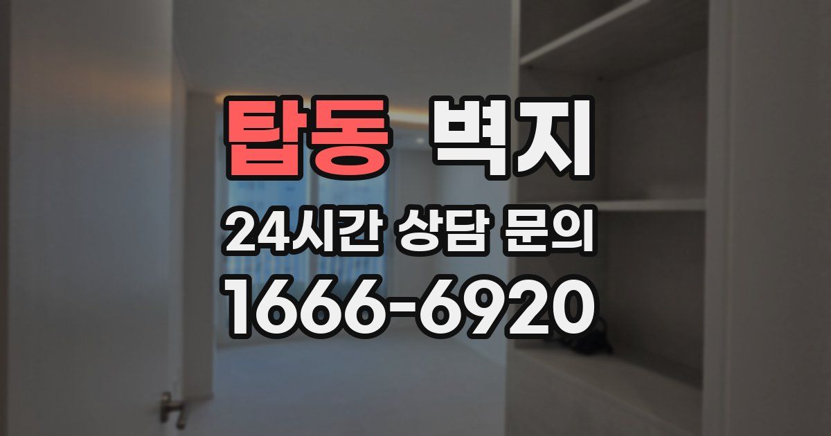 탑동 벽지