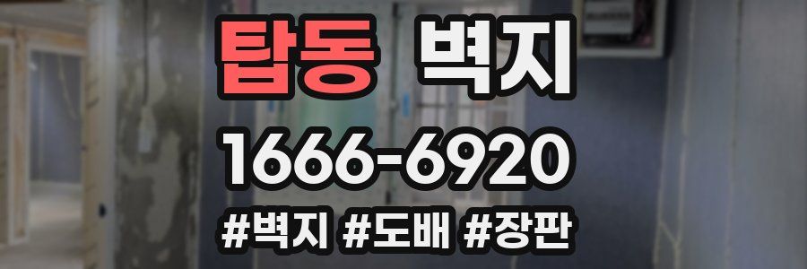 탑동 벽지