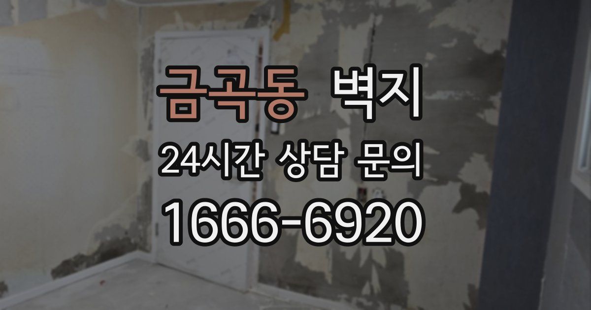 금곡동 벽지