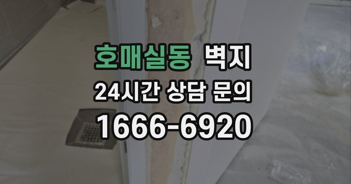 호매실동 벽지