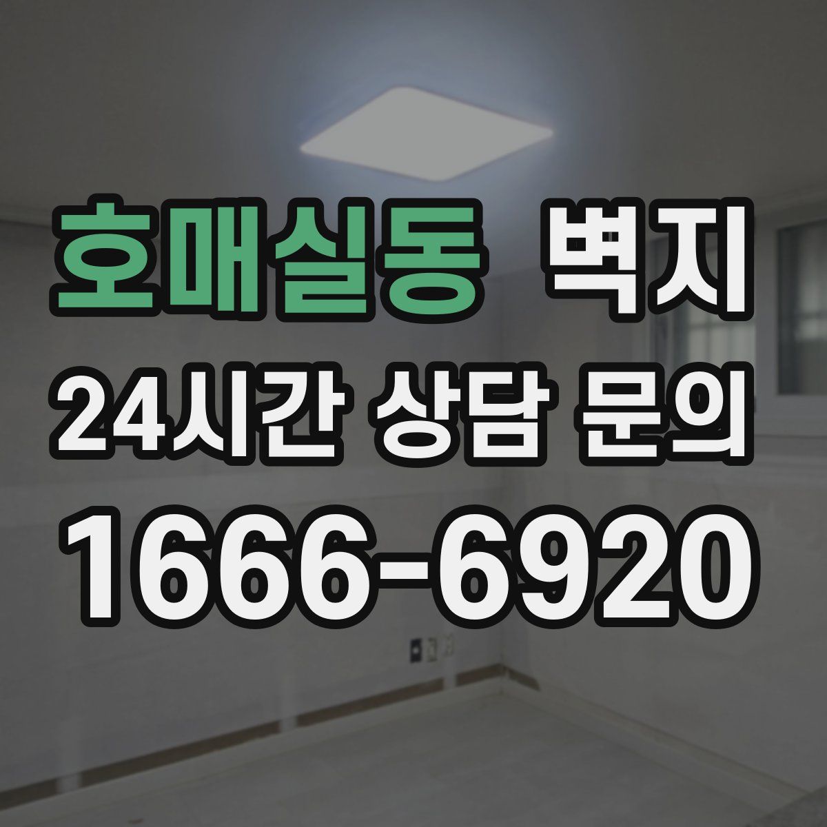 호매실동 벽지