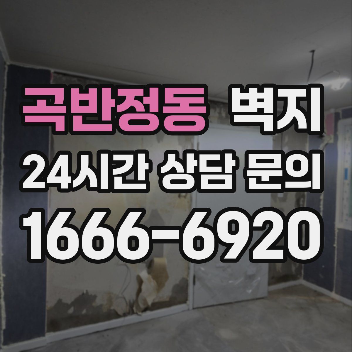 곡반정동 벽지
