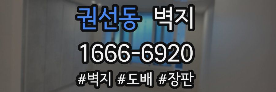 권선동 벽지