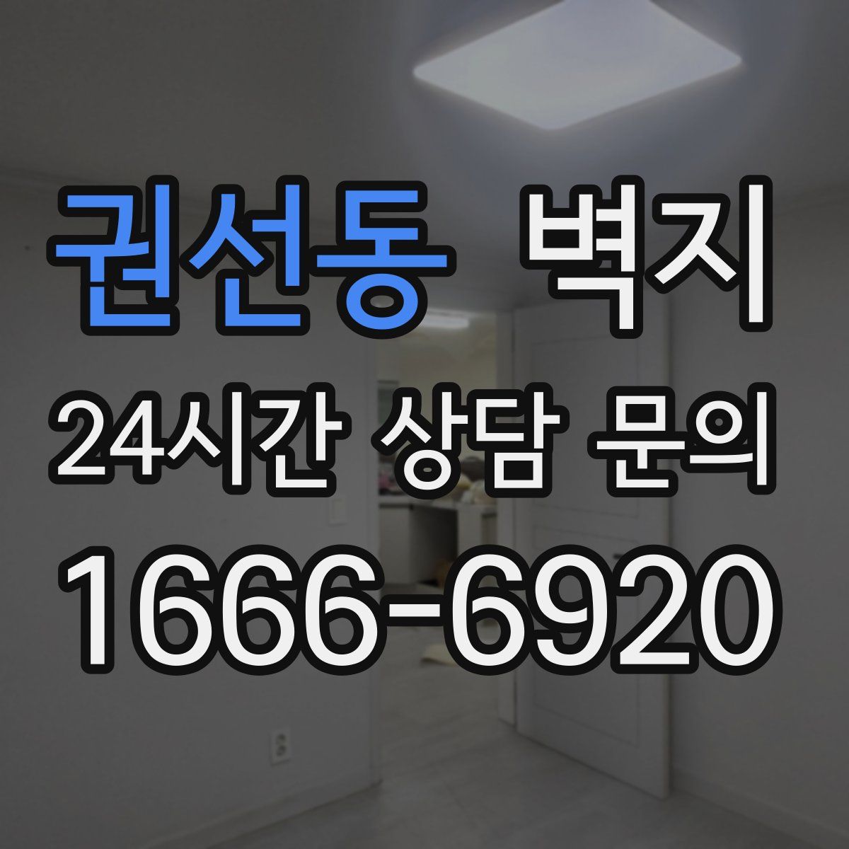 권선동 벽지