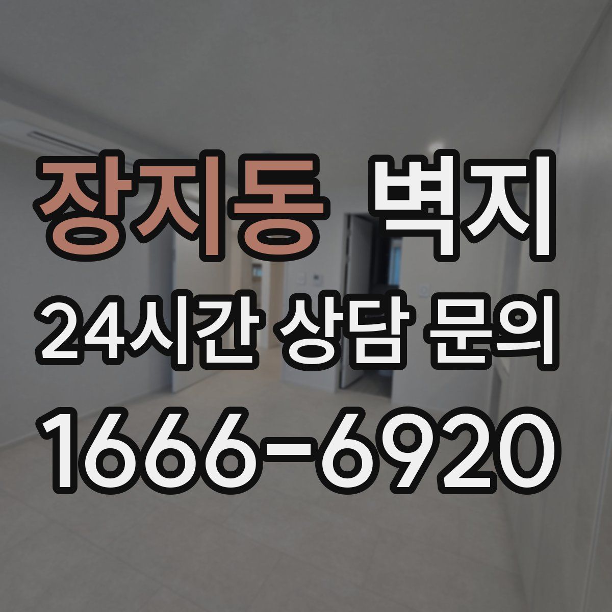 장지동 벽지