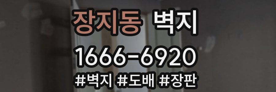 장지동 벽지