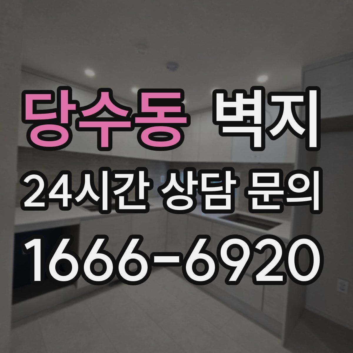 당수동 벽지