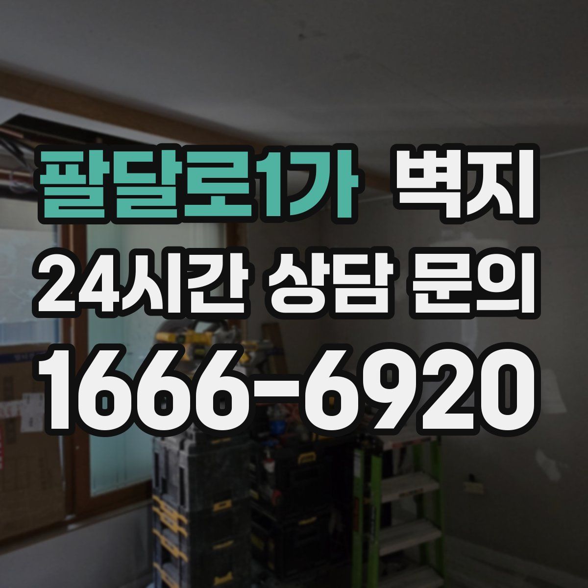 팔달로1가 벽지