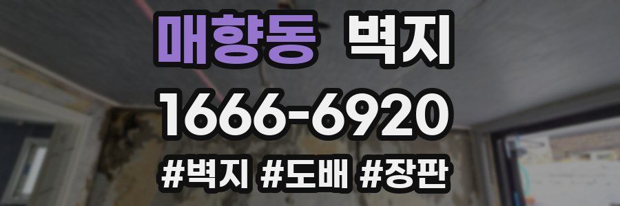 매향동 벽지