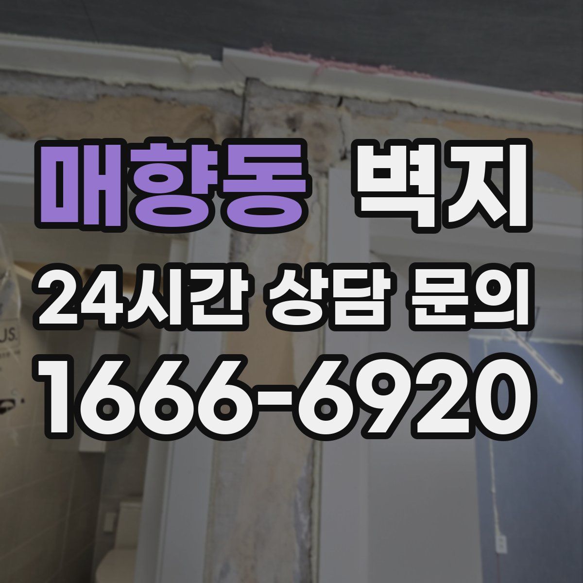 매향동 벽지