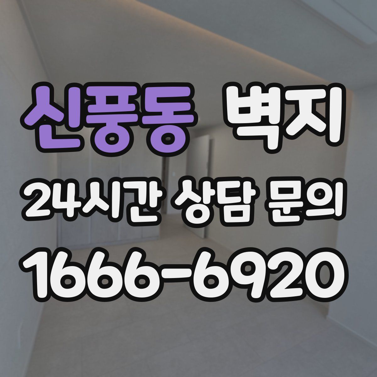 신풍동 벽지
